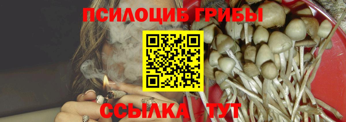 Галлюциногенные грибы Cubensis  магазин продажи   Губаха  Вход с VPN 