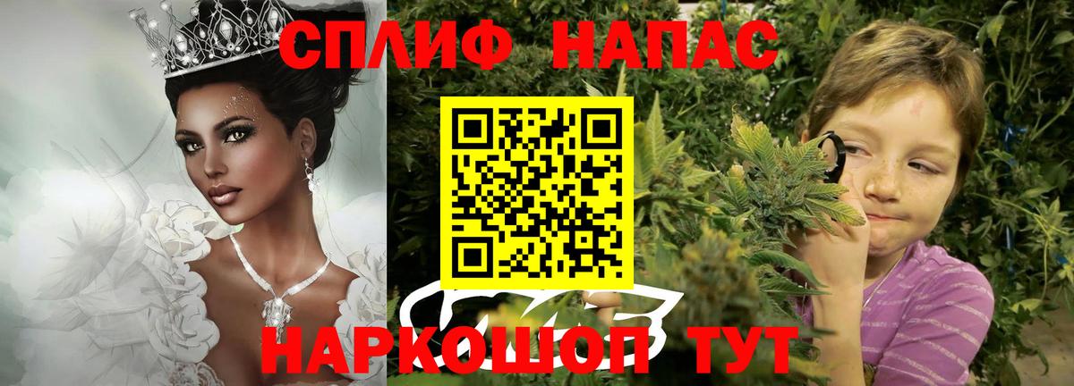 Бошки марихуана OG Kush Губаха